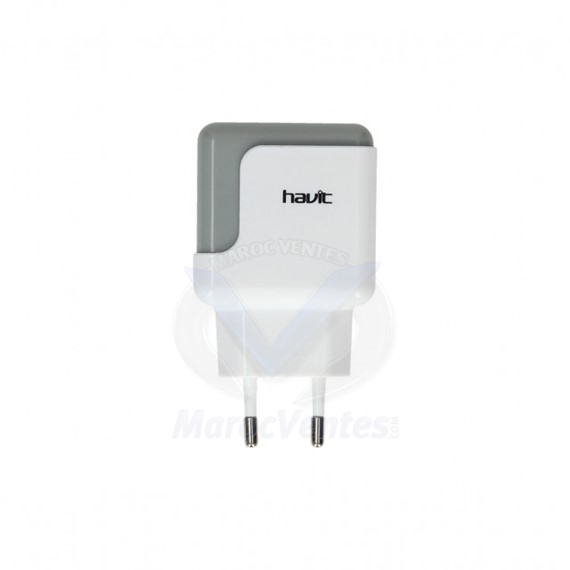 Dual USB Ports Chargeur de Voyage Injection Polissage HV-UC309